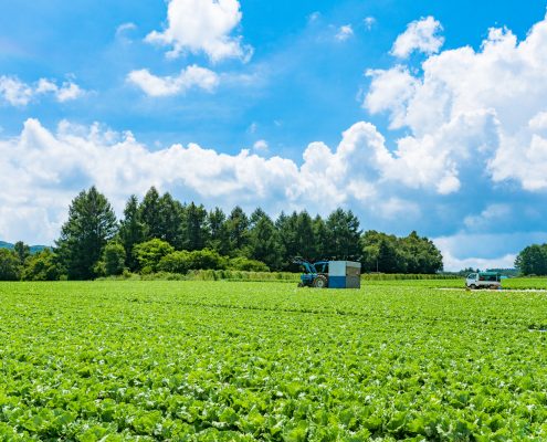 登記情報の地目って何？