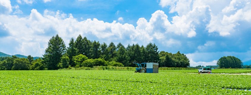 登記情報の地目って何？